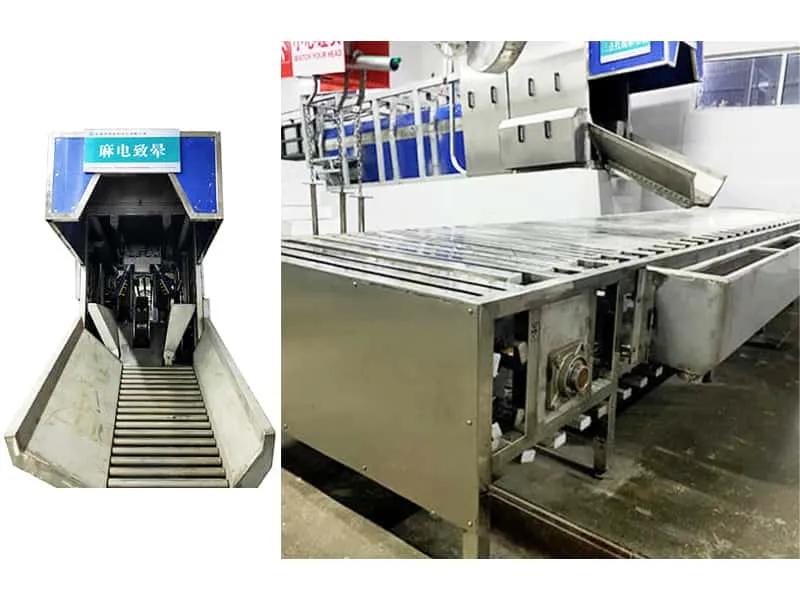 Преимущества 3-точечного конвейера для электрического оглушения свиней