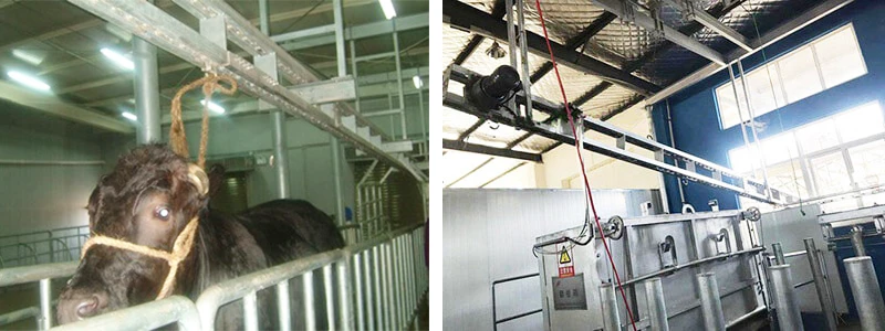 Особенность