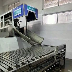 Дизайн скотобойни, который вам действительно нужен