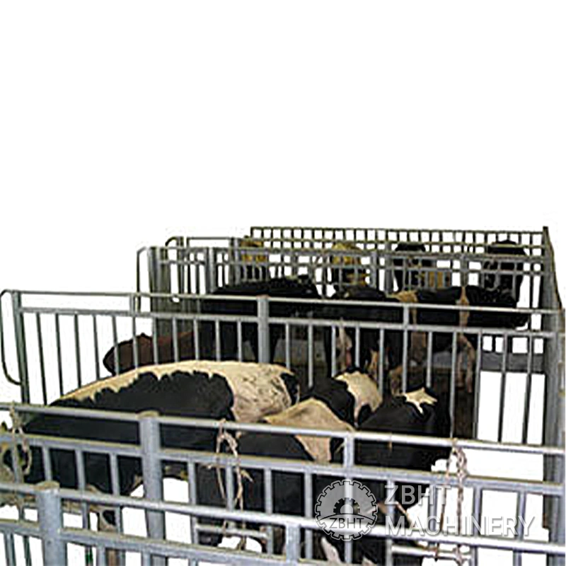 Pre-Slaughter-Room-20251020-63