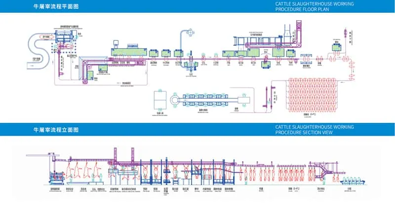 Процедура убоя скота – (часть 4)