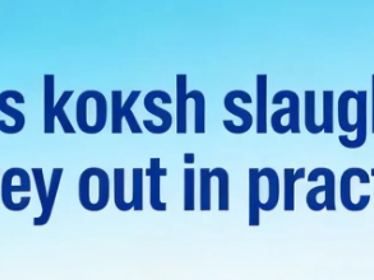 How is kosher slaughtering carried out in practice